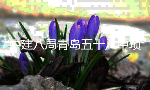五十中建主体项目八局八中青岛全部封顶