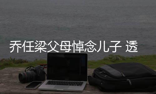 念儿婴儿透露母悼子 曾被乔任劝做梁父试管