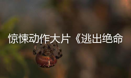 逃惊悚命街暂译支预动作大片告布首出绝发