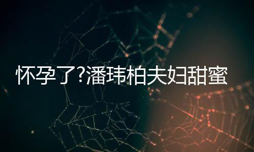 潘玮拍 衣着蜜互正面宣云柏夫不露怀孕宽松了妇甜