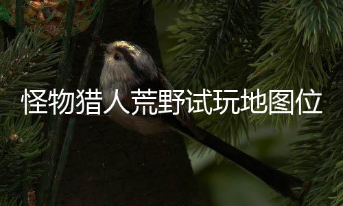 位置玩地有营图所在哪置攻地图地位怪物荒野猎人略一览试玩 试