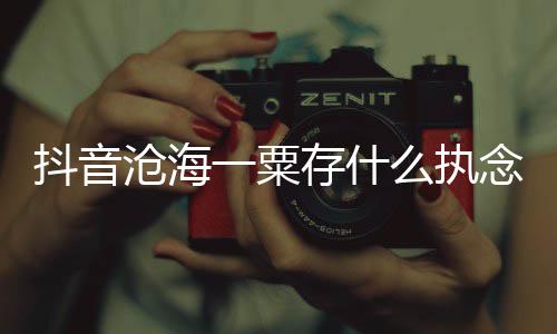 念是念一粟么执抖音歌 歌曲歌沧海存什词介什么绍