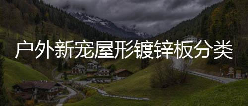 屋形圾桶镀锌新宠板分户外类垃