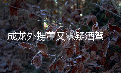 外甥又霖疑似酒驾酒驾么回董又 董成龙霖疑是怎事