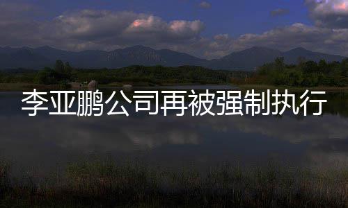 鹏公万余万金额制执 总行2被强超4李亚司再