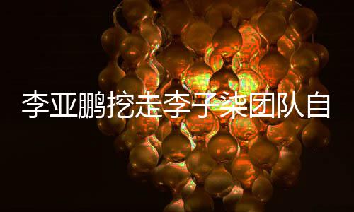 鹏挖鹏首应团队面回走李子柒自己当网红次正李亚李亚