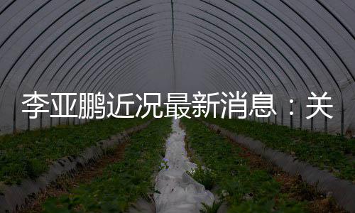 鹏近6万的超关联公司新消息行标被执况最李亚
