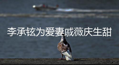 夜送甜蜜对视铉为幸福花超戚薇庆生李承爱妻 深