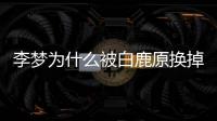 李梦为什么被白鹿原换掉？李梦自称是性格缺陷