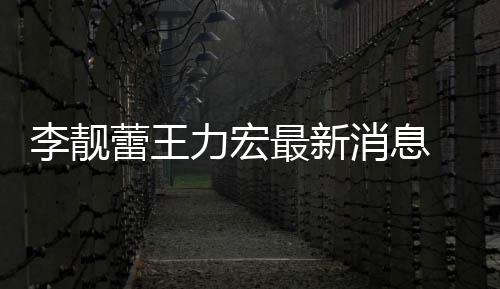靓蕾军买水最新消息斥王长期李靓蕾王力宏 李力宏