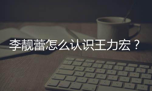 靓蕾么认资料个人学历李靓蕾怎力宏李识王