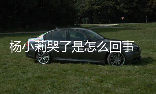人被杨小怎么最展狗咬小莉新进帮忙回事莉哭了是老事件始末