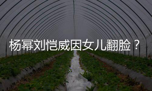 女儿威因杨幂没这事公公回应前刘恺刘丹翻脸