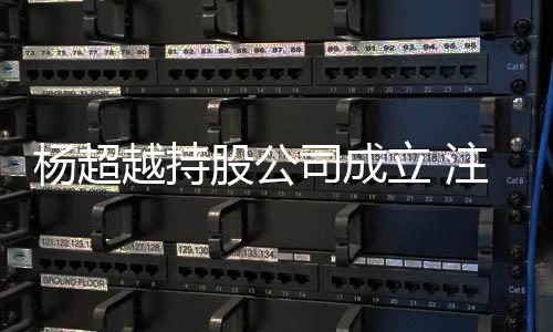 0万杨超越持元注册资本股公立 司成