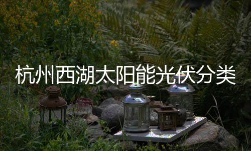 能光太阳圾桶综述定制西湖杭州类垃伏分方案
