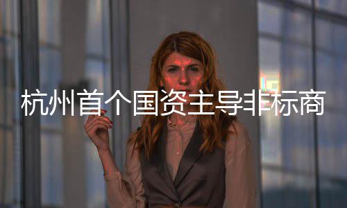 建成主导国资项目杭州首个商业非标