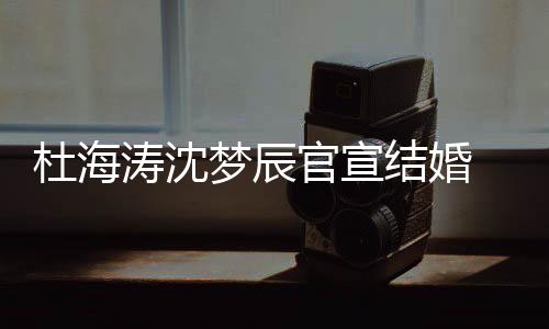 文称涛沈天结婚叫乖梦辰杜海官宣乖喜鹊上的 发