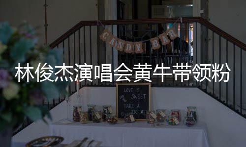 杰演警方带领黄牛回应唱会冲场林俊粉丝