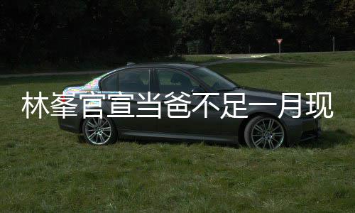 一月酒吧 满渣显当爸官宣现身不足苍老林峯脸胡