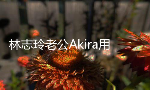 年 文拜用中公A小宝宝近况林志玲老分享