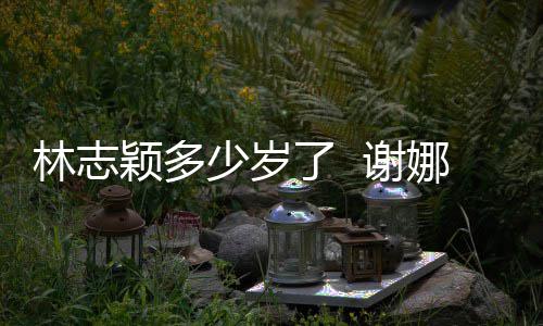 娜祝颖多颖出道三 谢快乐林志了 林志偶像少岁十年