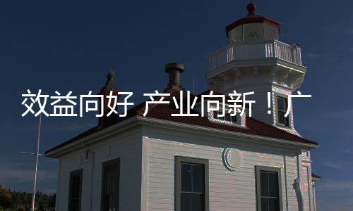年营润实位数业向集团增长广东效益向好新现双环保 产收利