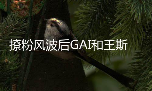 女方疑闹同框矛盾 被后G和王撩粉斯然甩手风波