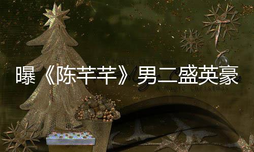 男二曝文痛艺发英豪张琳病豪嫖芊陈芊娼染斥盛盛英