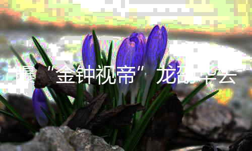 曝金钟资料作品代表个人去世龙 龙视帝劭华劭华