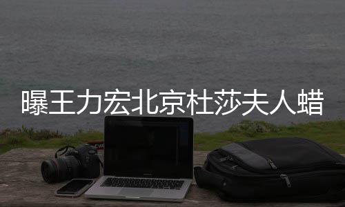 曝王 疑杜莎关北京被撤波有和离婚风力宏蜡像夫人