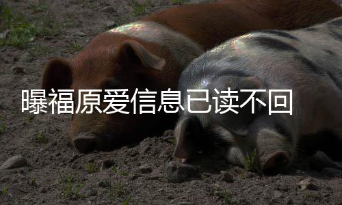曝福原爱已读 疑延离信息不回婚处产理财似拖
