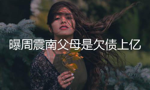 曝周亿的家庭震南债上E周震南真实背景情况老赖是欠父母