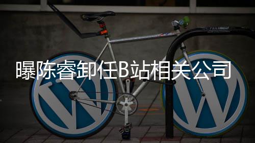 睿卸任B人与曝陈站相执行董事关公司法