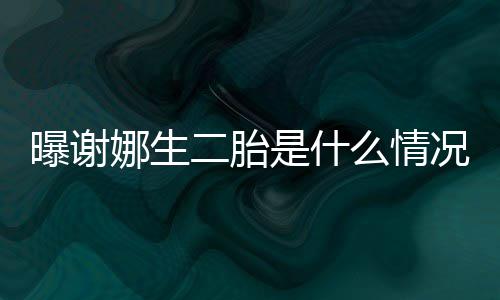二胎娜生曝谢一切团么情等官宣况 是什粉丝