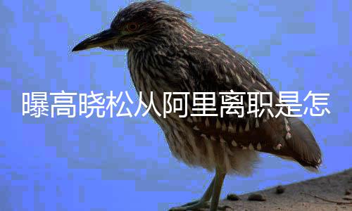 曝高职是怎么在阿职位 高晓松晓松回事从阿里离里是什么