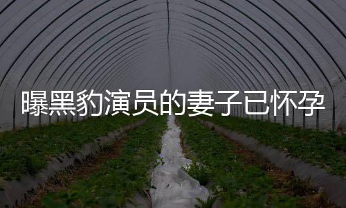 人爆曝黑员的已怀孕 一直他们知情子个孩想要豹演妻子