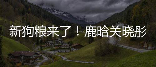 彤戴帽暗关晓新狗秀恩情侣戳戳粮来了鹿晗爱