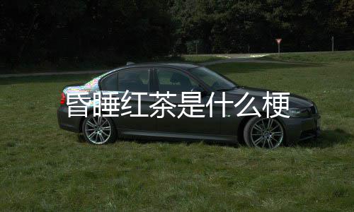 么梗昏睡红茶是什