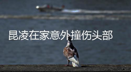 意外头部 经纪人在家撞伤报平回应昆凌安