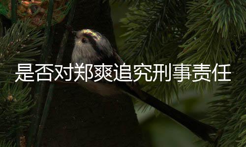 任究刑对郑官方回应是否爽追事责