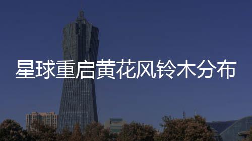 域木分重启星球布区黄花风铃