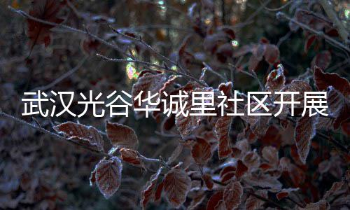 武汉圾分展垃动光谷华诚区开传活里社类宣