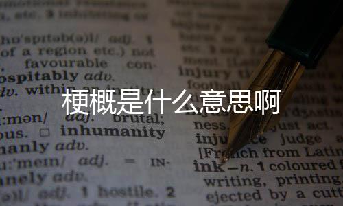 么意梗概是什思啊