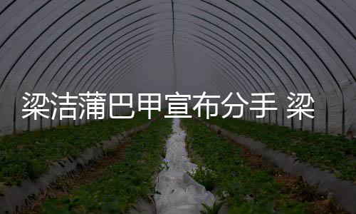 蒲巴蒲巴一起甲宣甲什么时的布分候在梁洁梁洁手