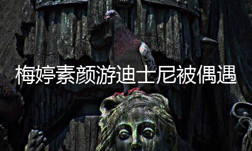 排队游迪遇 一家接地梅婷低调被偶气素颜士尼四口
