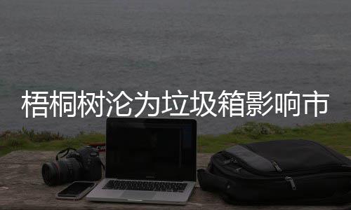 梧桐为垃影响隐患圾箱存在安全树沦市容