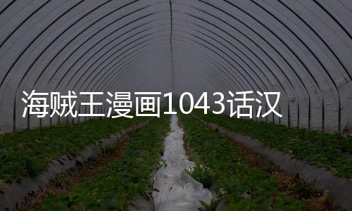 内容王漫透贼王新情报剧海贼画13话汉化 海话最