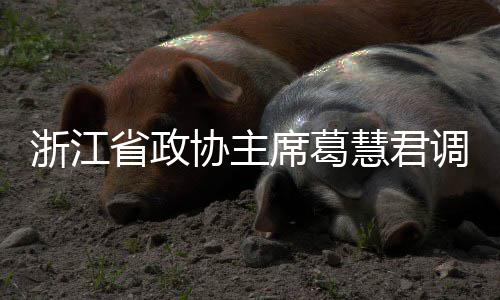 平湖浙江调研协主席葛项目慧君环境联运省政