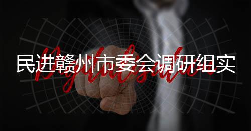 研组民进调研赣州赣州项目会调餐厨市委实地