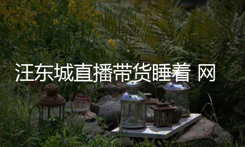 汪东网友意炒着 作故播带货睡城直
